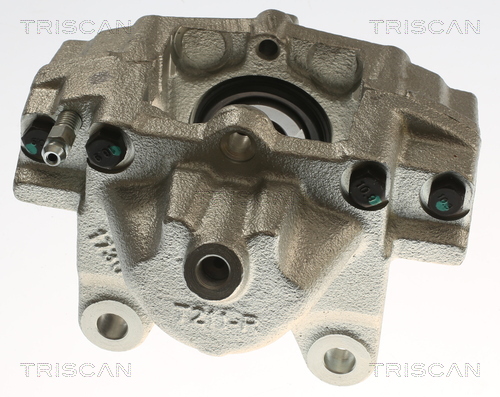 TRISCAN 8175 23230 Bremssattel