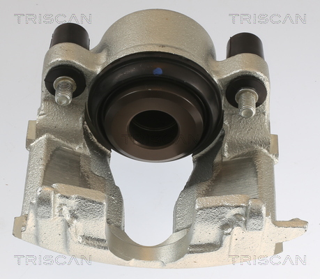 TRISCAN 8175 24101 Bremssattel