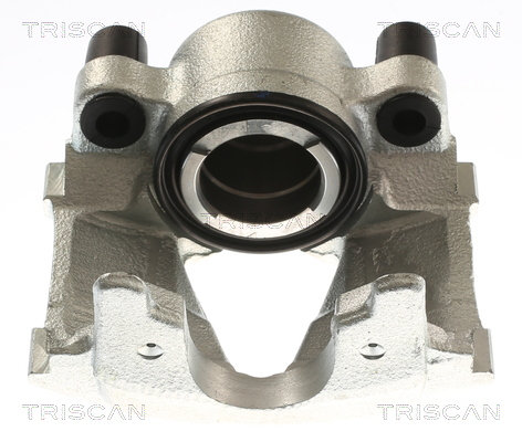 TRISCAN 8175 24106 Bremssattel