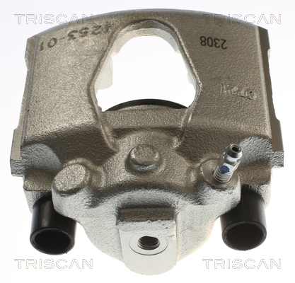 TRISCAN 8175 24108 Bremssattel