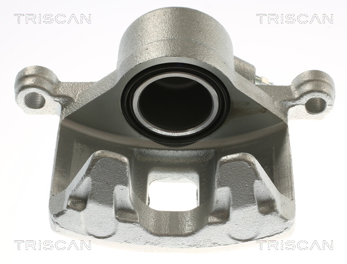 TRISCAN 8175 24109 Bremssattel