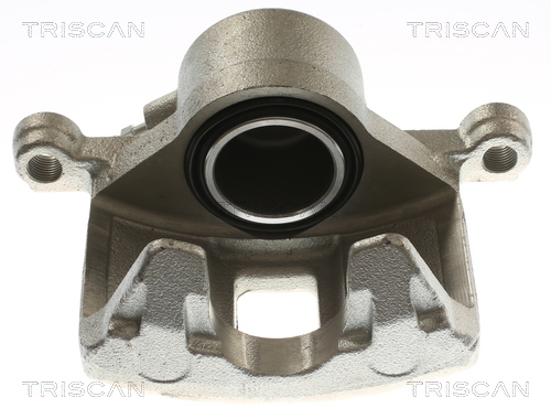 TRISCAN 8175 24110 Bremssattel
