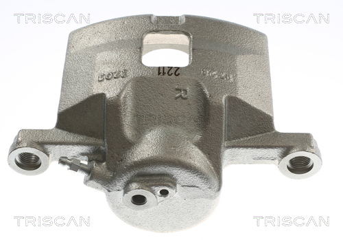 TRISCAN 8175 24110 Bremssattel
