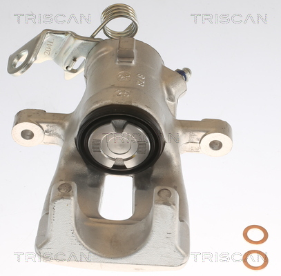 TRISCAN 8175 24201 Bremssattel