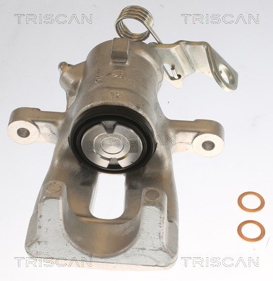 TRISCAN 8175 24202 Bremssattel