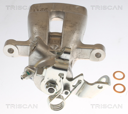 TRISCAN 8175 24202 Bremssattel