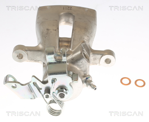 TRISCAN 8175 24205 Bremssattel