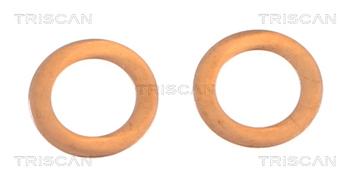TRISCAN 8175 24209 Bremssattel