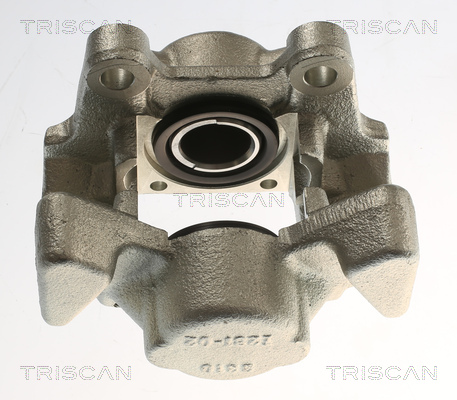 TRISCAN 8175 24213 Bremssattel