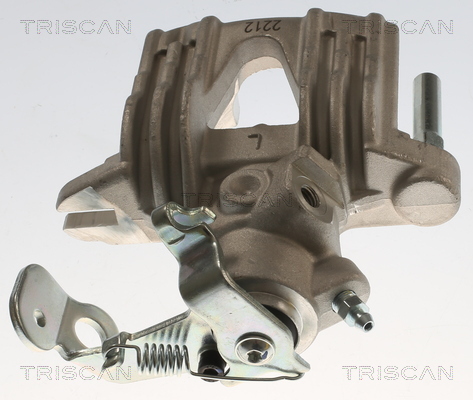 TRISCAN 8175 24217 Bremssattel