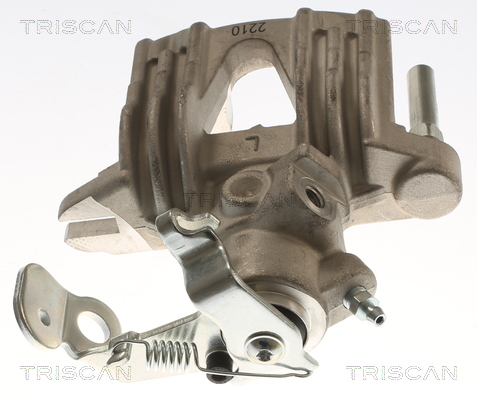 TRISCAN 8175 24219 Bremssattel