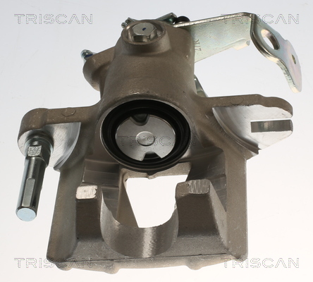 TRISCAN 8175 24220 Bremssattel