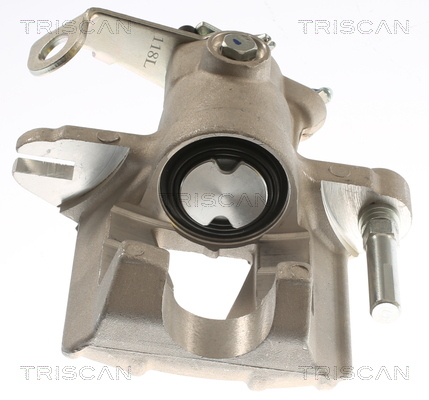 TRISCAN 8175 24223 Bremssattel