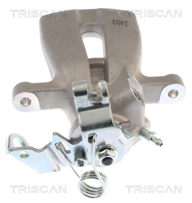 TRISCAN 8175 24231 Bremssattel