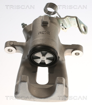 TRISCAN 8175 24234 Bremssattel