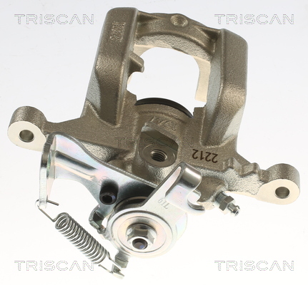 TRISCAN 8175 24241 Bremssattel