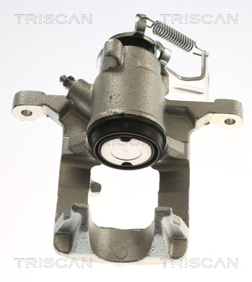 TRISCAN 8175 24242 Bremssattel