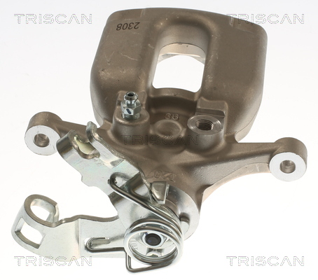 TRISCAN 8175 24246 Bremssattel