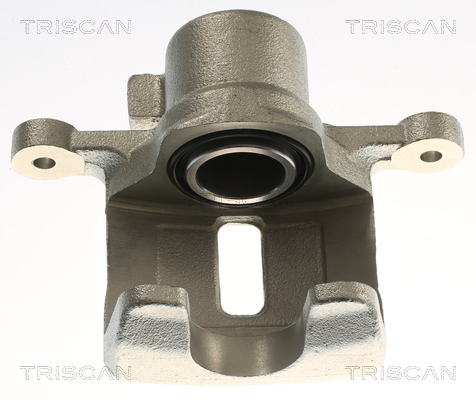 TRISCAN 8175 24248 Bremssattel