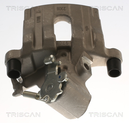 TRISCAN 8175 24250 Bremssattel