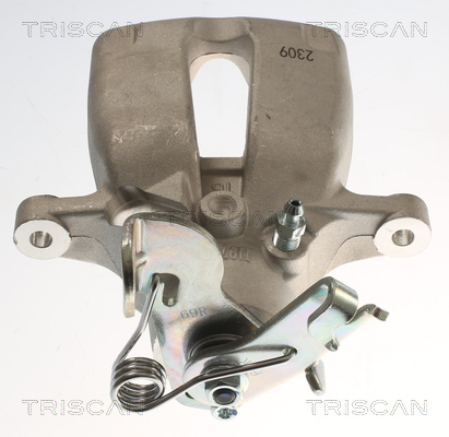TRISCAN 8175 24253 Bremssattel