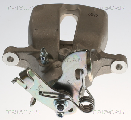 TRISCAN 8175 24254 Bremssattel