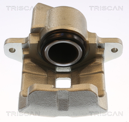 TRISCAN 8175 25101 Bremssattel