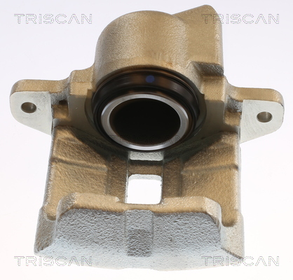 TRISCAN 8175 25102 Bremssattel
