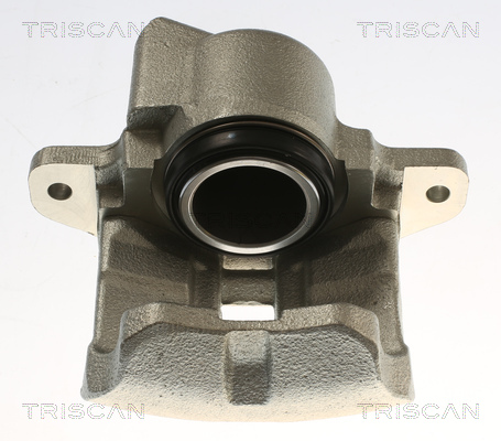 TRISCAN 8175 25103 Bremssattel
