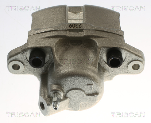 TRISCAN 8175 25103 Bremssattel