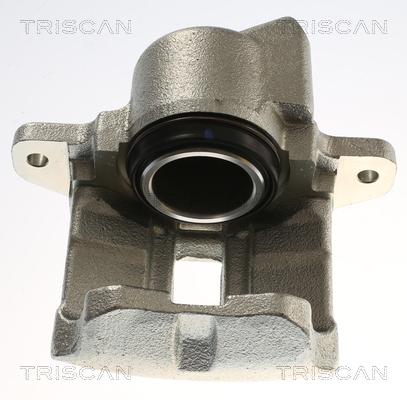 TRISCAN 8175 25104 Bremssattel