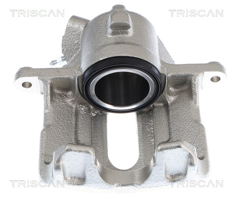 TRISCAN 8175 25105 Bremssattel