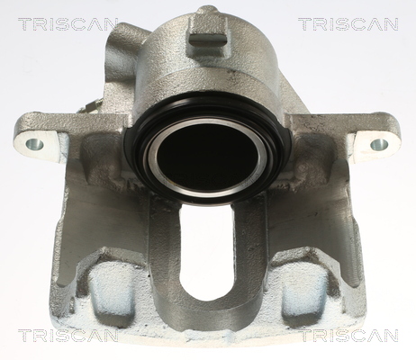 TRISCAN 8175 25109 Bremssattel