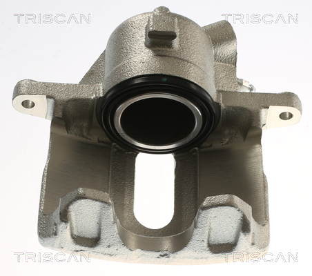 TRISCAN 8175 25110 Bremssattel