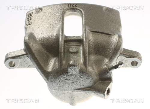 TRISCAN 8175 25110 Bremssattel