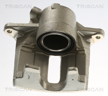 TRISCAN 8175 25111 Bremssattel