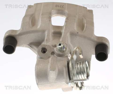 TRISCAN 8175 25201 Bremssattel