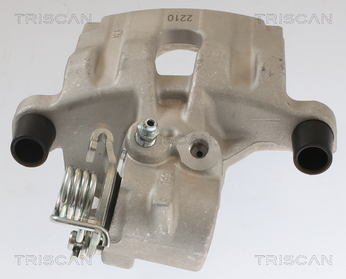 TRISCAN 8175 25202 Bremssattel