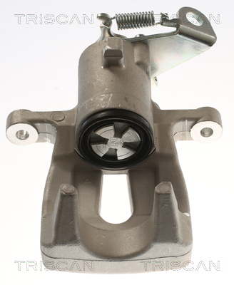 TRISCAN 8175 25207 Bremssattel