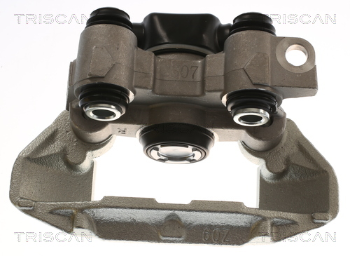 TRISCAN 8175 25210 Bremssattel