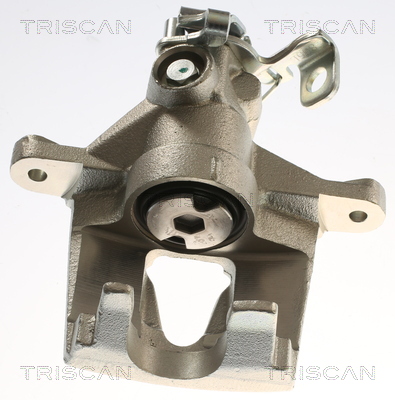 TRISCAN 8175 25213 Bremssattel