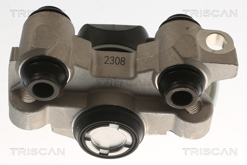 TRISCAN 8175 25216 Bremssattel