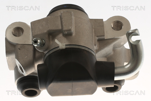 TRISCAN 8175 25216 Bremssattel