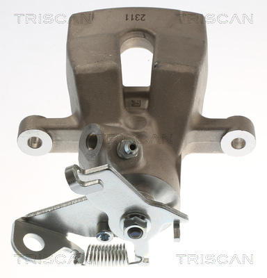 TRISCAN 8175 25218 Bremssattel