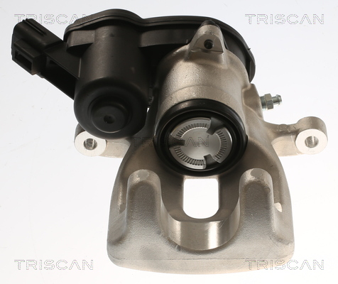TRISCAN 8175 25221 Bremssattel