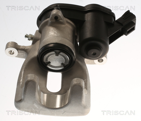 TRISCAN 8175 25222 Bremssattel