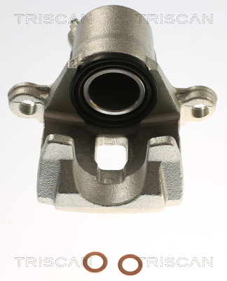 TRISCAN 8175 25225 Bremssattel