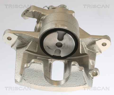 TRISCAN 8175 28101 Bremssattel