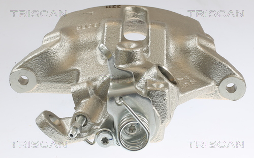 TRISCAN 8175 28101 Bremssattel