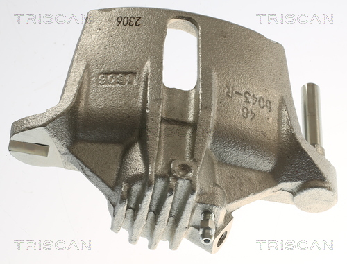 TRISCAN 8175 28118 Bremssattel